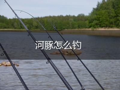 河豚怎么钓,第1张