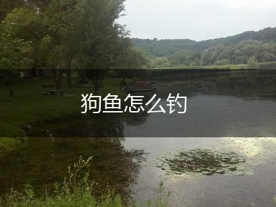 狗鱼怎么钓,第1张