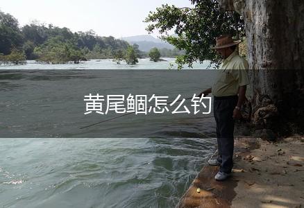 黄尾鲴怎么钓,第1张