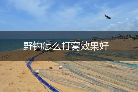 野钓怎么打窝效果好,第1张