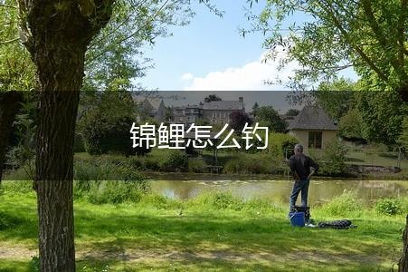 锦鲤怎么钓,第1张
