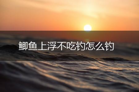 鲫鱼上浮不吃钓怎么钓,第1张
