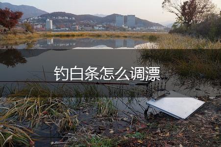 钓白条怎么调漂,第1张