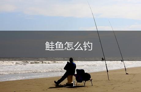 鲑鱼怎么钓,第1张