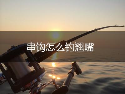 串钩怎么钓翘嘴,第1张