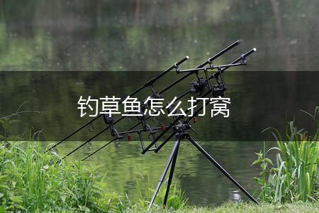 钓草鱼怎么打窝,第1张