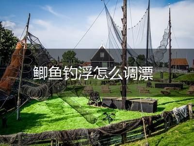 鲫鱼钓浮怎么调漂,第1张