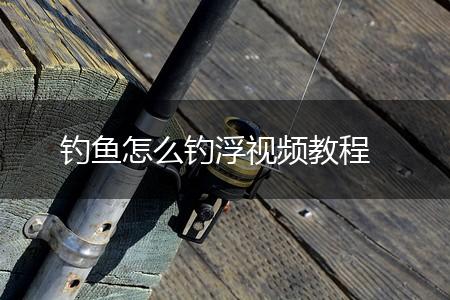 钓鱼怎么钓浮视频教程,第1张