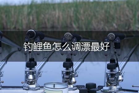钓鲤鱼怎么调漂最好,第1张