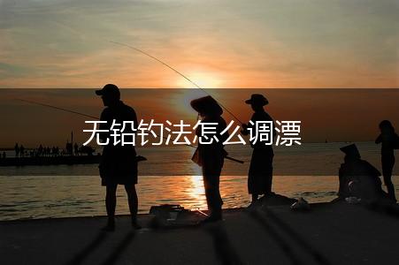 无铅钓法怎么调漂,第1张