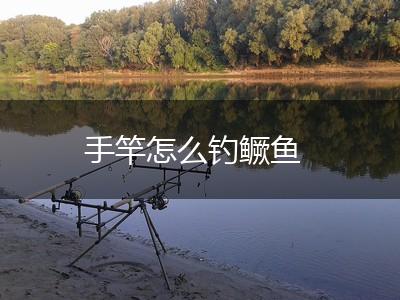 手竿怎么钓鳜鱼,第1张