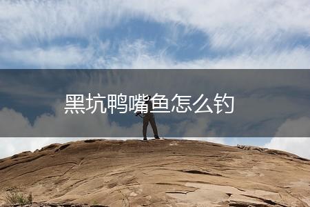 黑坑鸭嘴鱼怎么钓,第1张