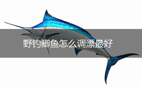野钓鲫鱼怎么调漂最好,第1张