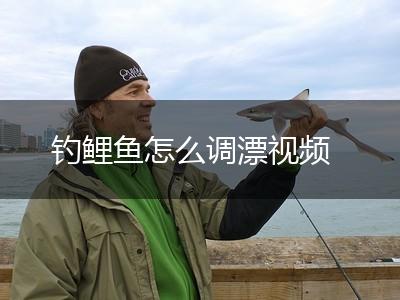 钓鲤鱼怎么调漂视频,第1张