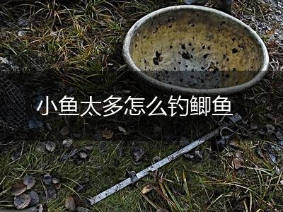 小鱼太多怎么钓鲫鱼,第1张