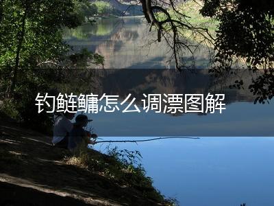 钓鲢鳙怎么调漂图解,第1张