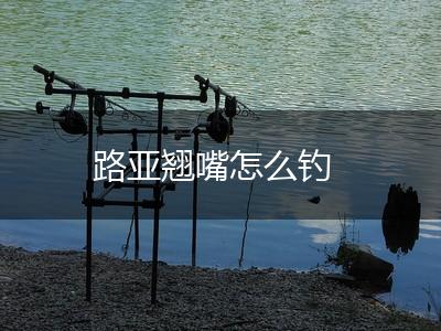 路亚翘嘴怎么钓,第1张