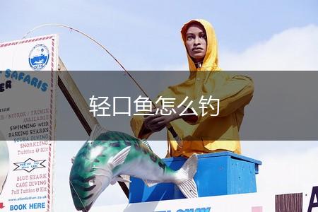 轻口鱼怎么钓,第1张
