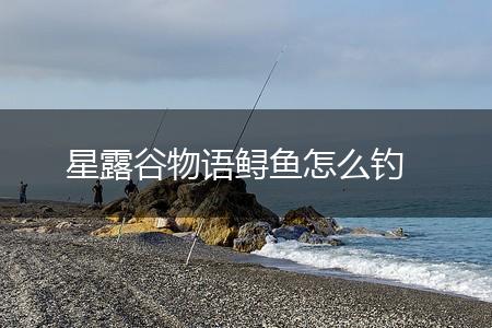 星露谷物语鲟鱼怎么钓,第1张