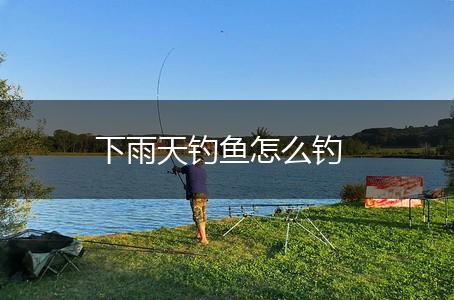 下雨天钓鱼怎么钓,第1张