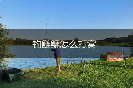 钓鲢鳙怎么打窝,第1张
