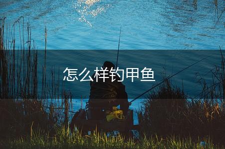 怎么样钓甲鱼,第1张