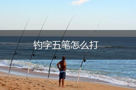 钓字五笔怎么打,第1张