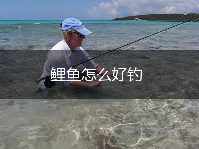 鲤鱼怎么好钓,第1张