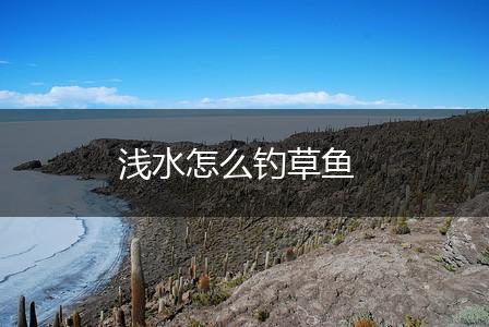浅水怎么钓草鱼,第1张
