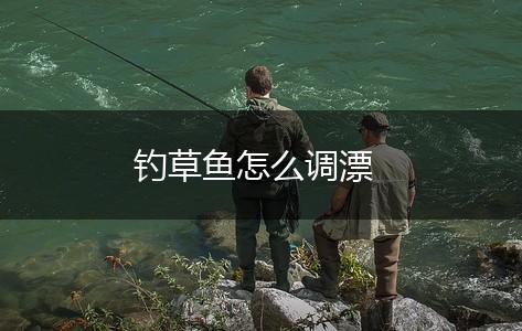 钓草鱼怎么调漂,第1张
