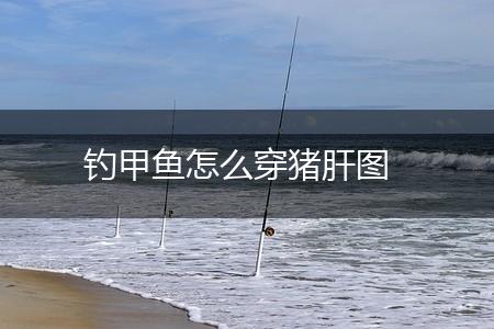 钓甲鱼怎么穿猪肝图,第1张