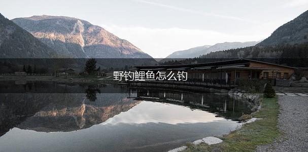 野钓鲤鱼怎么钓,第1张