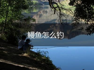 鳗鱼怎么钓,第1张