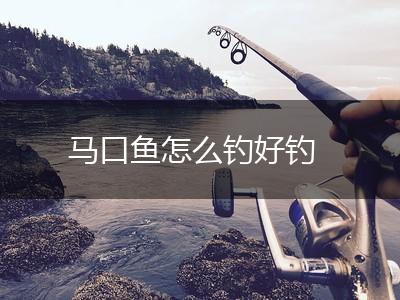 马口鱼怎么钓好钓,第1张