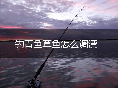 钓青鱼草鱼怎么调漂,第1张