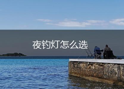 夜钓灯怎么选,第1张