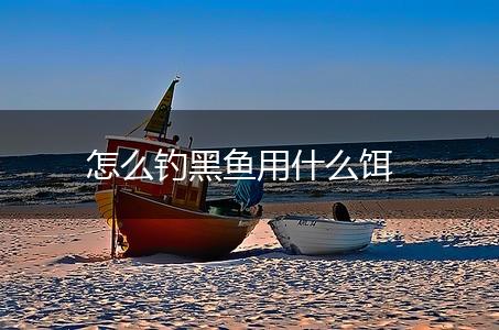 怎么钓黑鱼用什么饵,第1张