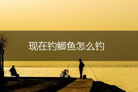 现在钓鲫鱼怎么钓,第1张