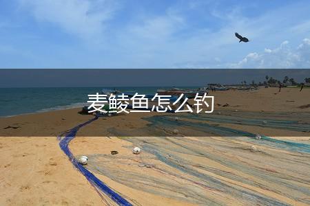 麦鲮鱼怎么钓,第1张