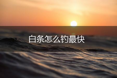 白条怎么钓最快,第1张