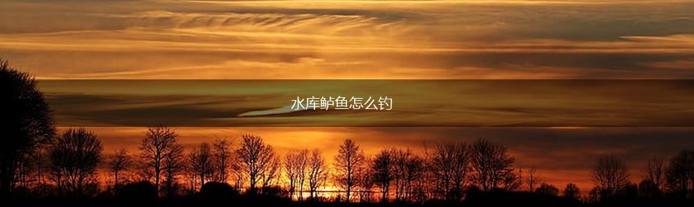 水库鲈鱼怎么钓,第1张
