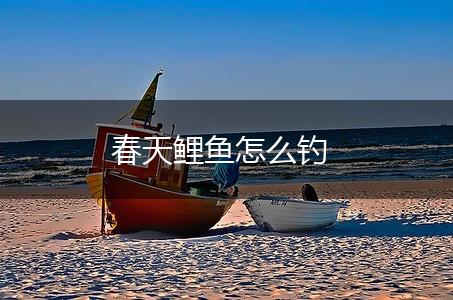 春天鲤鱼怎么钓,第1张