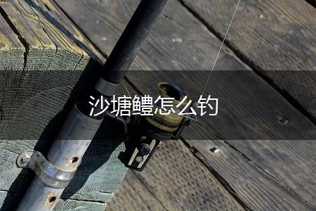 沙塘鳢怎么钓,第1张
