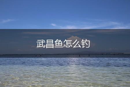 武昌鱼怎么钓,第1张
