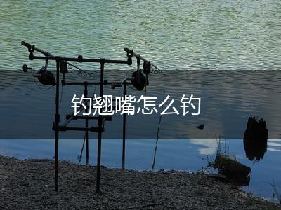 钓翘嘴怎么钓,第1张