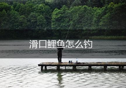 滑口鲤鱼怎么钓,第1张