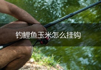 钓鲤鱼玉米怎么挂钩,第1张