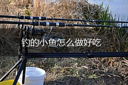 钓的小鱼怎么做好吃,第1张