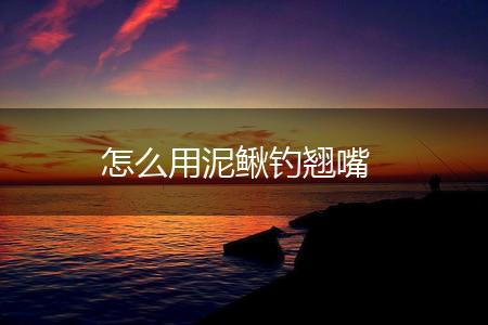 怎么用泥鳅钓翘嘴,第1张
