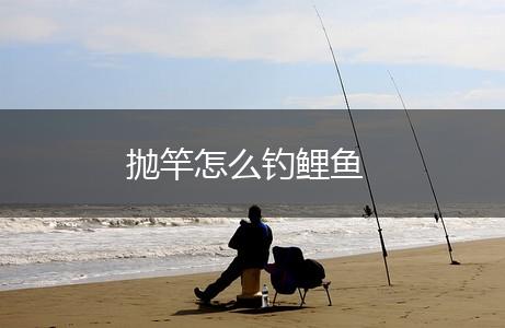 抛竿怎么钓鲤鱼,第1张